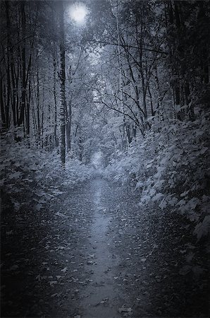 serjiob74 (artist) - Path in the deep forest at night time. Photographie de stock - Aubaine LD & Abonnement, Code: 400-07821819