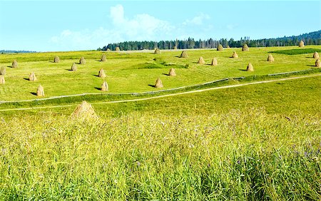 simsearch:400-07626348,k - Summer mountain village outskirts with haystacks on field (Carpathian, Ukraine) Stock Photo - Budget Royalty-Free & Subscription, Code: 400-07822358