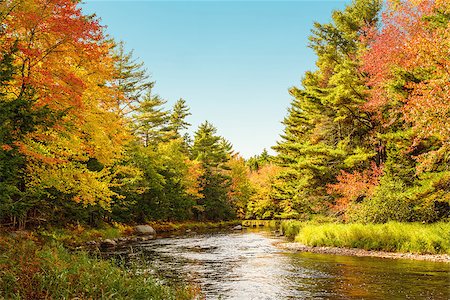 simsearch:400-04873565,k - Mersey river in fall (Kejimkujik National Park, Nova Scotia, Canada) Fotografie stock - Microstock e Abbonamento, Codice: 400-07822565