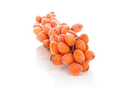 Sea-buckthorn twig with frost on berries isolated on white background. Alternative medicine, natural antioxidant. Stock Photo - Budget Royalty-Free & Subscription, Code: 400-07822697