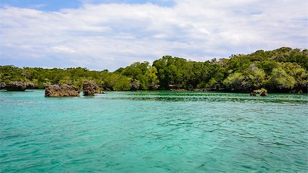 a nice view of Mangroves in zanzibar,Tanzania africa. Photographie de stock - Aubaine LD & Abonnement, Code: 400-07823064