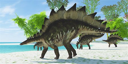 simsearch:400-07039388,k - A herd of Stegosaurus dinosaurs head down to a lake for a drink in the Jurassic Age. Stockbilder - Microstock & Abonnement, Bildnummer: 400-07823075