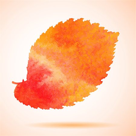 drawn images of maple leaves - Orange watercolor painted vector elm tree leaf. Also available as a Vector in Adobe illustrator EPS format, compressed in a zip file. The vector version be scaled to any size without loss of quality. Stock Photo - Budget Royalty-Free & Subscription, Code: 400-07823188