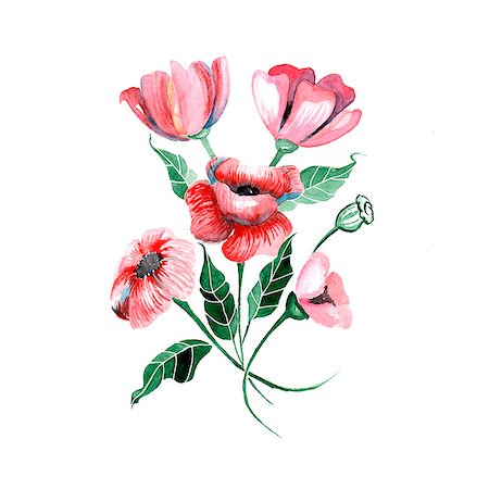 simsearch:400-05688265,k - Watercolor flowers - red poppies with leaves, vector illustration Stockbilder - Microstock & Abonnement, Bildnummer: 400-07823712