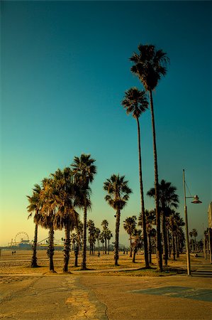 California Summer, Santa Monica Stock Photo - Budget Royalty-Free & Subscription, Code: 400-07823964