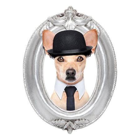 terrier dog portrait of  charlie chaplin, within an old retro wooden frame , isolated on white background Foto de stock - Super Valor sin royalties y Suscripción, Código: 400-07835712