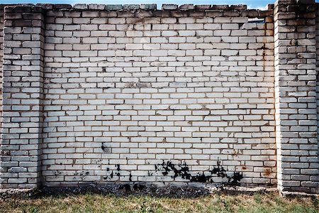 simsearch:400-06561774,k - Old white brick wall with green grass Stock Photo - Budget Royalty-Free & Subscription, Code: 400-07835999