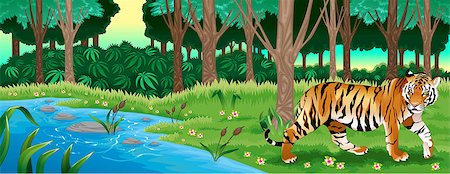 Green forest with a tiger. Vector cartoon illustration Stock Photo - Budget Royalty-Free & Subscription, Code: 400-07836743