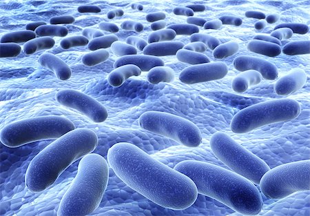 simsearch:400-04337180,k - Colony of pathogen bacteria - 3d render Stock Photo - Budget Royalty-Free & Subscription, Code: 400-07836835