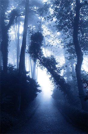 frenta (artist) - Mysterious landscape with road in foggy forest Stock Photo - Budget Royalty-Free & Subscription, Code: 400-07838108