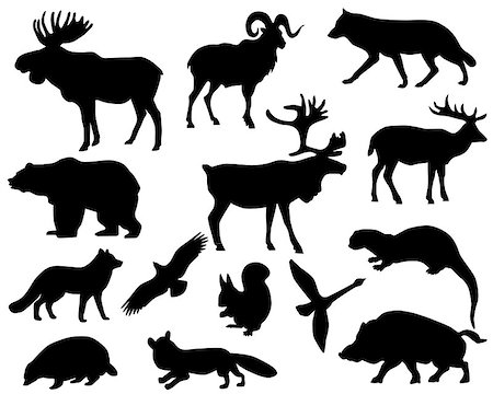 silhouettes wildlife vector - Collection of silhouettes of animals living in the territory of Europe Stock Photo - Budget Royalty-Free & Subscription, Code: 400-07839286