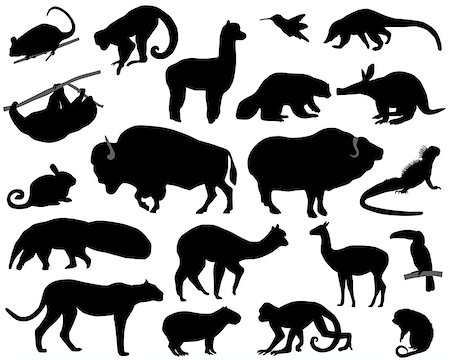 Collection of silhouettes of animals living in the territory of North and South America Photographie de stock - Aubaine LD & Abonnement, Code: 400-07839287