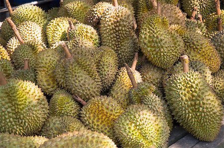simsearch:400-09220883,k - Durian, the world's smelliest fruit, the king of fruit in much of south-east Asia. Stock Photo - Budget Royalty-Free & Subscription, Code: 400-07830524