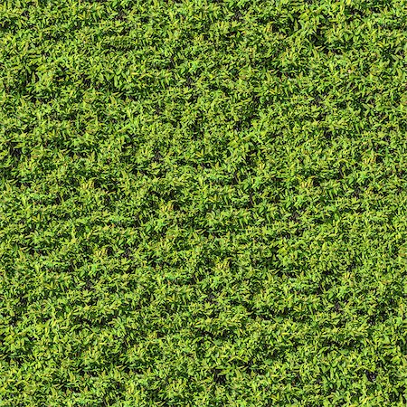 simsearch:400-07830872,k - Green Spring Leafy Bush. Seamless Tileable Texture. Foto de stock - Royalty-Free Super Valor e Assinatura, Número: 400-07830872