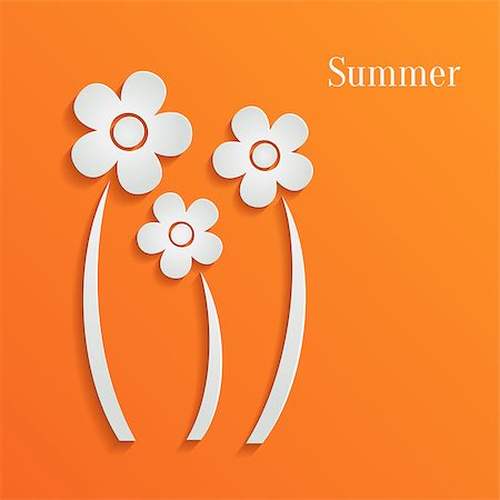 simsearch:400-07427493,k - Summer white flowers on orange background Foto de stock - Royalty-Free Super Valor e Assinatura, Número: 400-07831031