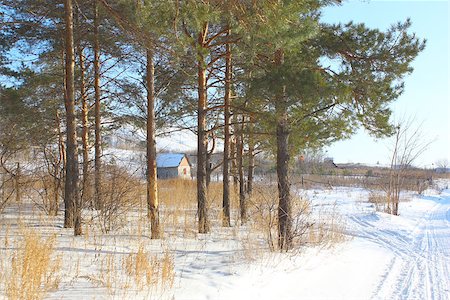 simsearch:400-05359143,k - House near forest in winter Photographie de stock - Aubaine LD & Abonnement, Code: 400-07831366