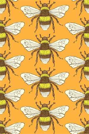 simsearch:400-08077627,k - Sketch bumble bee in vintage style, vector seamless pattern Stock Photo - Budget Royalty-Free & Subscription, Code: 400-07831378