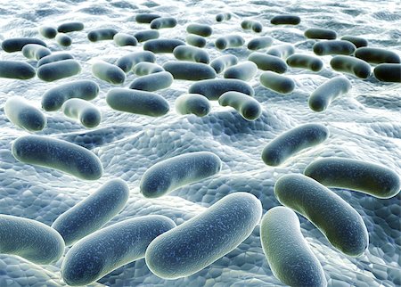simsearch:400-04337180,k - Colony of pathogen bacteria - 3d render Stock Photo - Budget Royalty-Free & Subscription, Code: 400-07831860