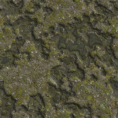 simsearch:400-06327934,k - Dried Surface of the Swamp with Moss. Seamless Tileable Texture. Stockbilder - Microstock & Abonnement, Bildnummer: 400-07832363
