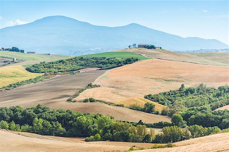 simsearch:400-07296321,k - Image near Pienza with beautiful landscape in Tuscany, Italy Foto de stock - Super Valor sin royalties y Suscripción, Código: 400-07832761