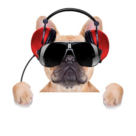 dj bulldog dog with headphones listening to music behind a white banner or placard , isolated on white background Stock Photo - Budget Royalty-Free & Subscription, Code: 400-07832851