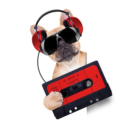 dj bulldog dog with headphones listening to music holding a cassette, besides a white banner or placard , isolated on white background Stock Photo - Budget Royalty-Free & Subscription, Code: 400-07832852