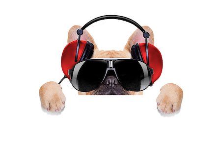 dj bulldog dog with headphones listening to music behind a white banner or placard , isolated on white background Stock Photo - Budget Royalty-Free & Subscription, Code: 400-07832853