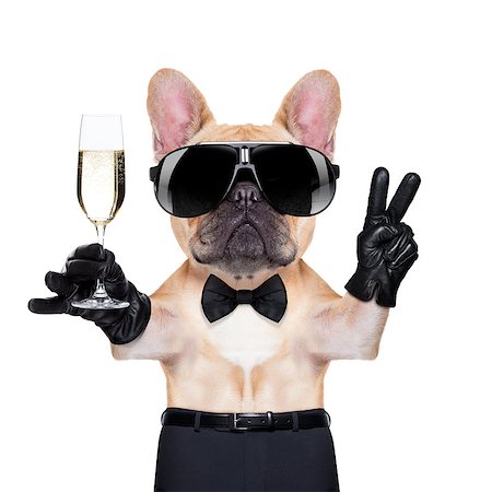 simsearch:400-07822392,k - french bulldog holding a  glass of champagne  with peace or victory fingers , ready to toast,  isolated on white background Foto de stock - Super Valor sin royalties y Suscripción, Código: 400-07832871