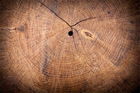 simsearch:400-05133815,k - Texture of slice of wood timber. Natural background Stockbilder - Microstock & Abonnement, Bildnummer: 400-07833527
