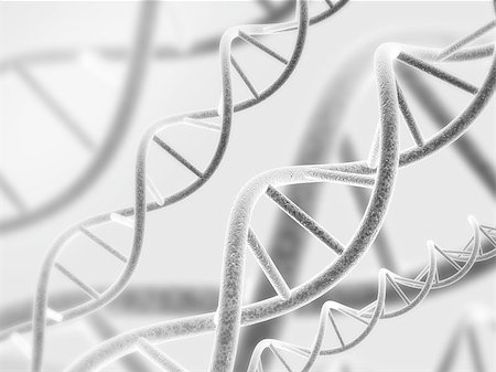 simsearch:671-02101873,k - Digital 3d model of DNA structure. Black and white Foto de stock - Royalty-Free Super Valor e Assinatura, Número: 400-07833642