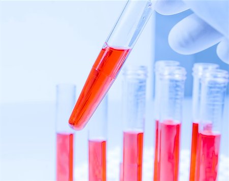simsearch:400-07774098,k - hand in blue glove is holding test tube with red liquid in laboratory on white table Stock Photo - Budget Royalty-Free & Subscription, Code: 400-07840657
