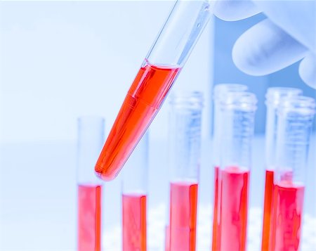 hand in blue glove is holding test tube with red liquid in laboratory on white table Foto de stock - Super Valor sin royalties y Suscripción, Código: 400-07840657