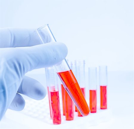 hand in medical blue glove is holding test tube with red liquid in laboratory on blue light tint background Foto de stock - Super Valor sin royalties y Suscripción, Código: 400-07840659