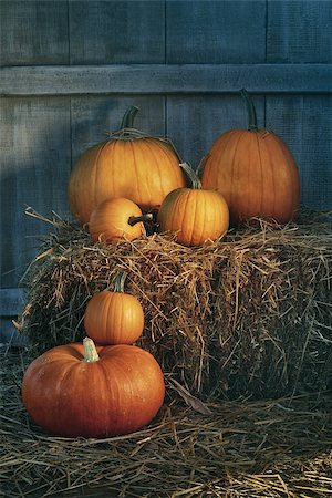 simsearch:400-05714074,k - Assortment of pumpkins on hay in the barn Foto de stock - Royalty-Free Super Valor e Assinatura, Número: 400-07894037