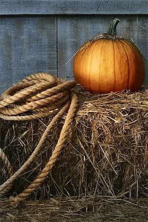 simsearch:400-05714074,k - Large pumpkin with rope on hay in the barn Photographie de stock - Aubaine LD & Abonnement, Code: 400-07894045