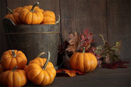 simsearch:400-04008520,k - Miniature pumpkins on wooden table Stock Photo - Budget Royalty-Free & Subscription, Code: 400-07894046