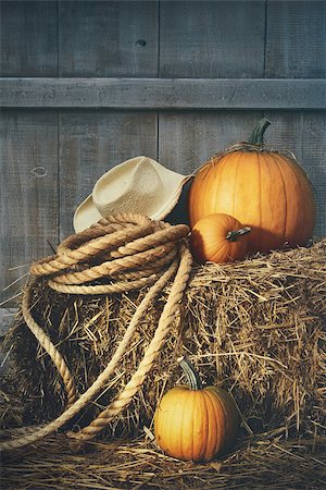 Pumpkins with rope and hat on a bale of hay Stock Photo - Budget Royalty-Free & Subscription, Code: 400-07894048