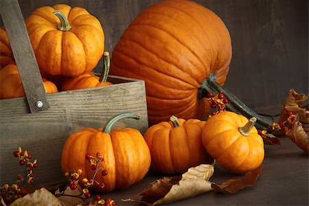 simsearch:400-04008520,k - Small pumpkins with wooden box on table Stock Photo - Budget Royalty-Free & Subscription, Code: 400-07894050