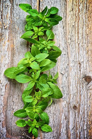 simsearch:614-05557041,k - Fresh Raw Green Basil Leaves In a Row isolated on Rustic Wooden background Photographie de stock - Aubaine LD & Abonnement, Code: 400-07894160