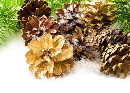 Pine cones and pine branches on a white background Stock Photo - Budget Royalty-Free & Subscription, Code: 400-07894348