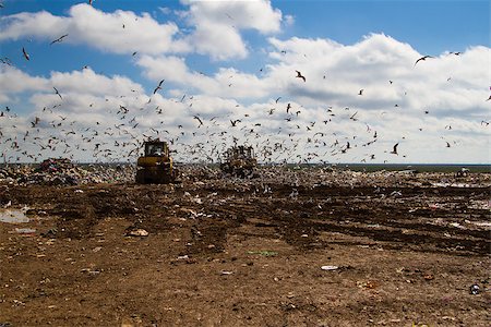 simsearch:694-03327856,k - Shot of bulldozers working a landfill site Stock Photo - Budget Royalty-Free & Subscription, Code: 400-07894633