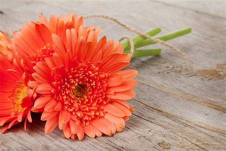 simsearch:400-07662543,k - Orange gerbera flowers on wooden background with copy space Stock Photo - Budget Royalty-Free & Subscription, Code: 400-07894861