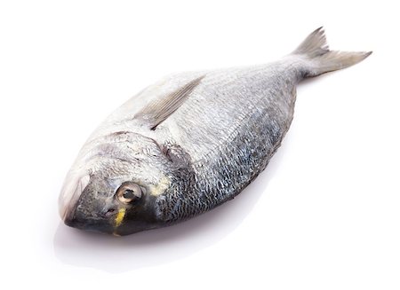dorado - Fresh dorado fish. Isolated on white background Stock Photo - Budget Royalty-Free & Subscription, Code: 400-07894937