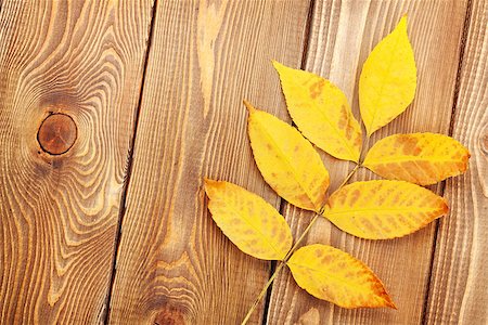 Autumn leaves over wood background with copy space Stock Photo - Budget Royalty-Free & Subscription, Code: 400-07894993