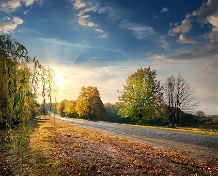 Highway through the beautiful autumn forest and bright sun Foto de stock - Super Valor sin royalties y Suscripción, Código: 400-07895235