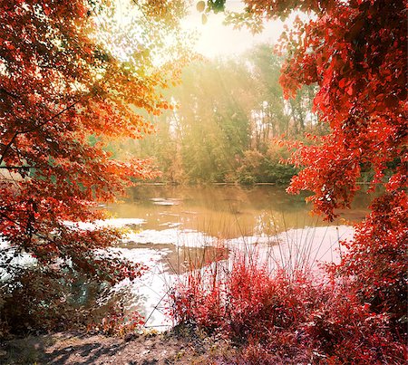 simsearch:400-07932171,k - Sunbeams over calm river in the autumn Foto de stock - Super Valor sin royalties y Suscripción, Código: 400-07896177