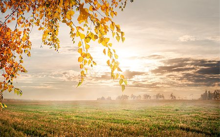 simsearch:400-07321234,k - Fog in the autumn field in the morning Stock Photo - Budget Royalty-Free & Subscription, Code: 400-07896173