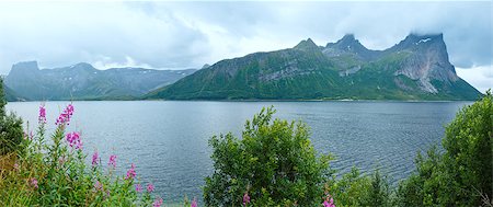 simsearch:6129-09058228,k - Fjord summer cloudy view with flowers in front (Norway). Panorama. Stock Photo - Budget Royalty-Free & Subscription, Code: 400-07898004