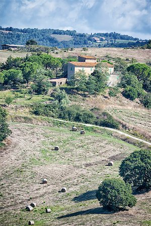 simsearch:400-07296321,k - An image of a Tuscany landscape in Italy Foto de stock - Super Valor sin royalties y Suscripción, Código: 400-07899795