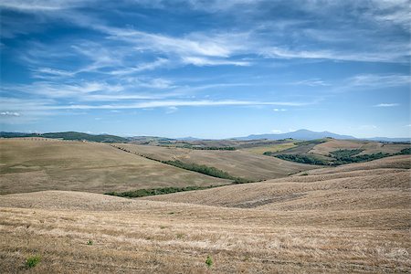 simsearch:400-07296321,k - An image of a Tuscany landscape in Italy Foto de stock - Super Valor sin royalties y Suscripción, Código: 400-07899797